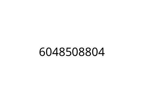 6048508804