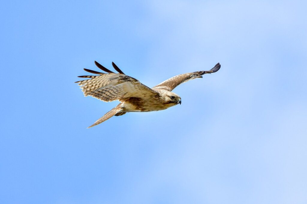 3jwfytfrpktctirc3kb7bwk7hnxnhyhlsg