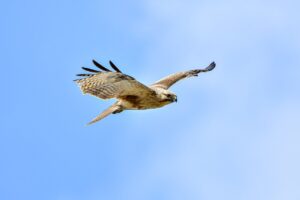 3jwfytfrpktctirc3kb7bwk7hnxnhyhlsg