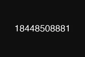 18448508881