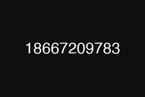 18667209783