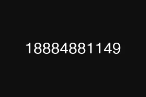18884881149