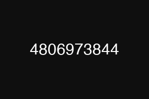 4806973844