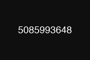 5085993648