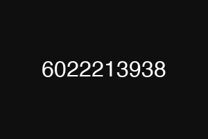 6022213938