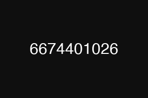 6674401026
