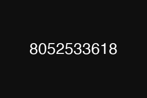 8052533618