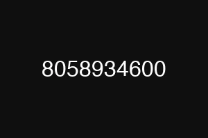8058934600