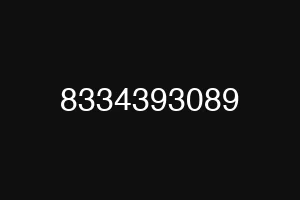 8334393089