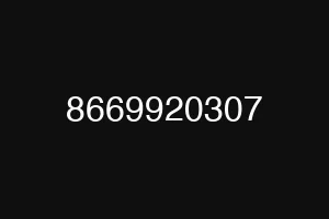8669920307