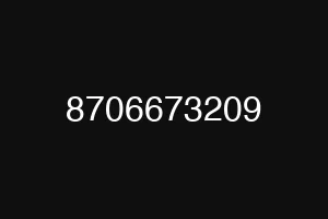 8706673209
