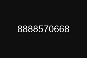 8888570668