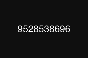 9528538696