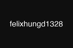 felixhungd1328