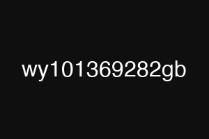 wy101369282gb