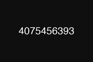 4075456393