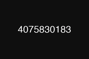 4075830183