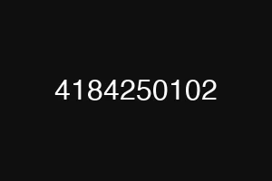 4184250102