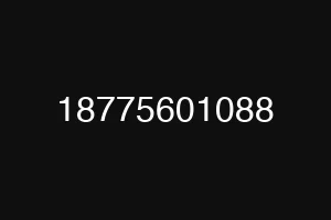 18775601088