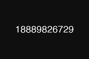 18889826729
