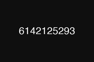 6142125293