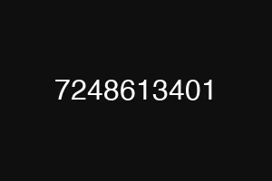 7248613401