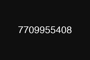 7709955408