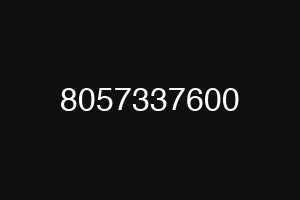 8057337600