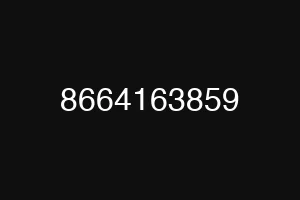 8664163859