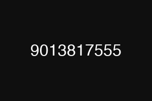 9013817555