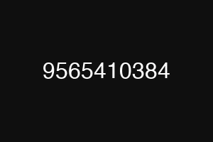 9565410384